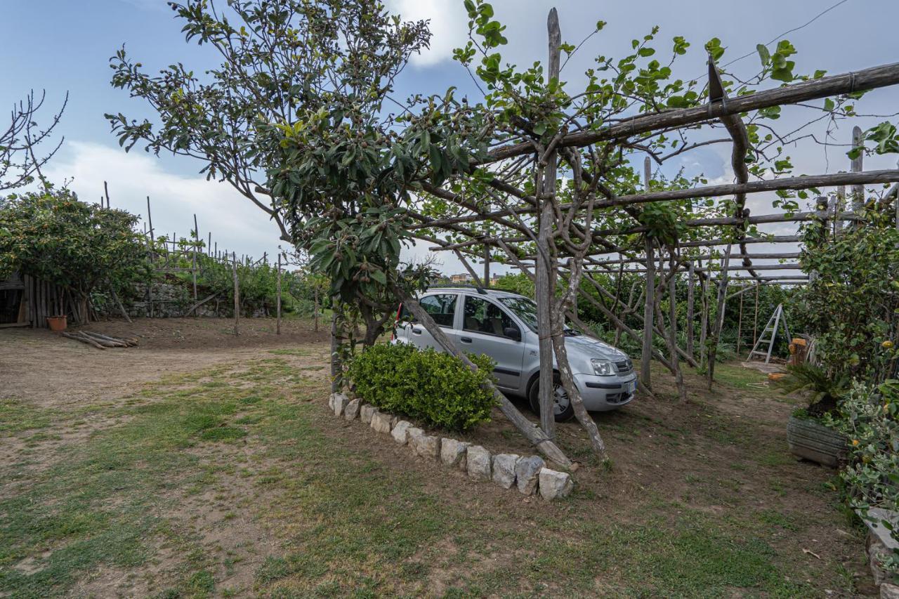 Villa La Pace سانتّانييلّو المظهر الخارجي الصورة